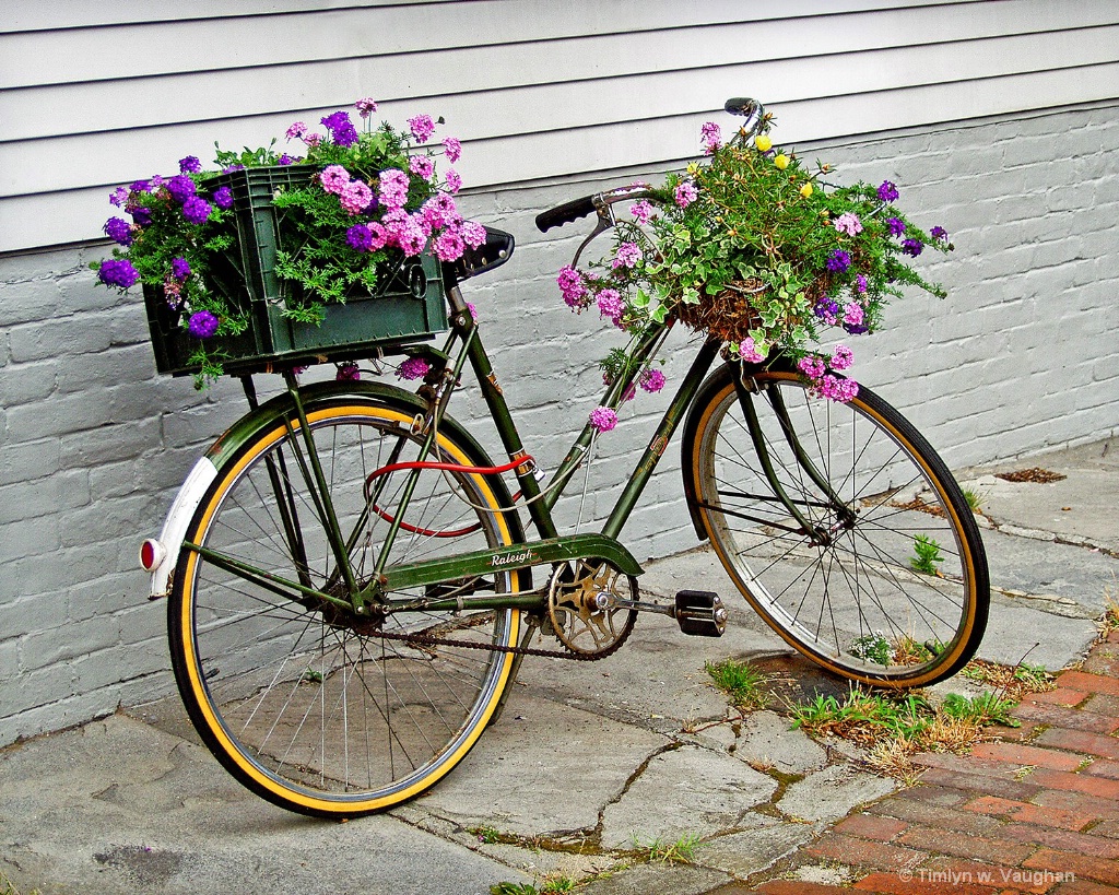 Nantucket Bike
