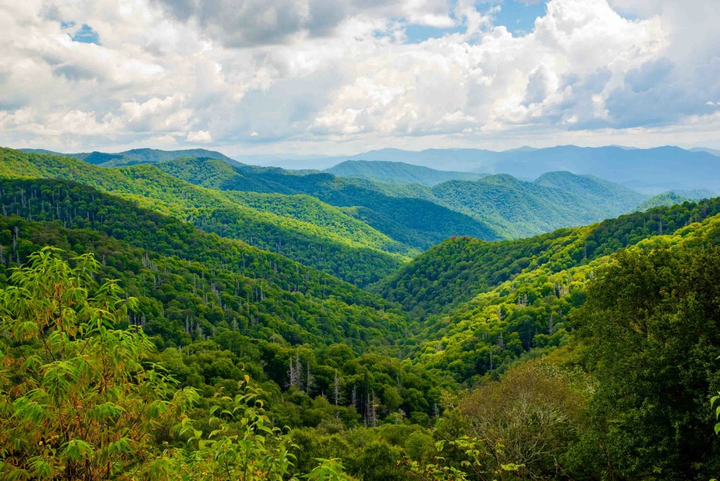 Rollin' Hills of the Smokies