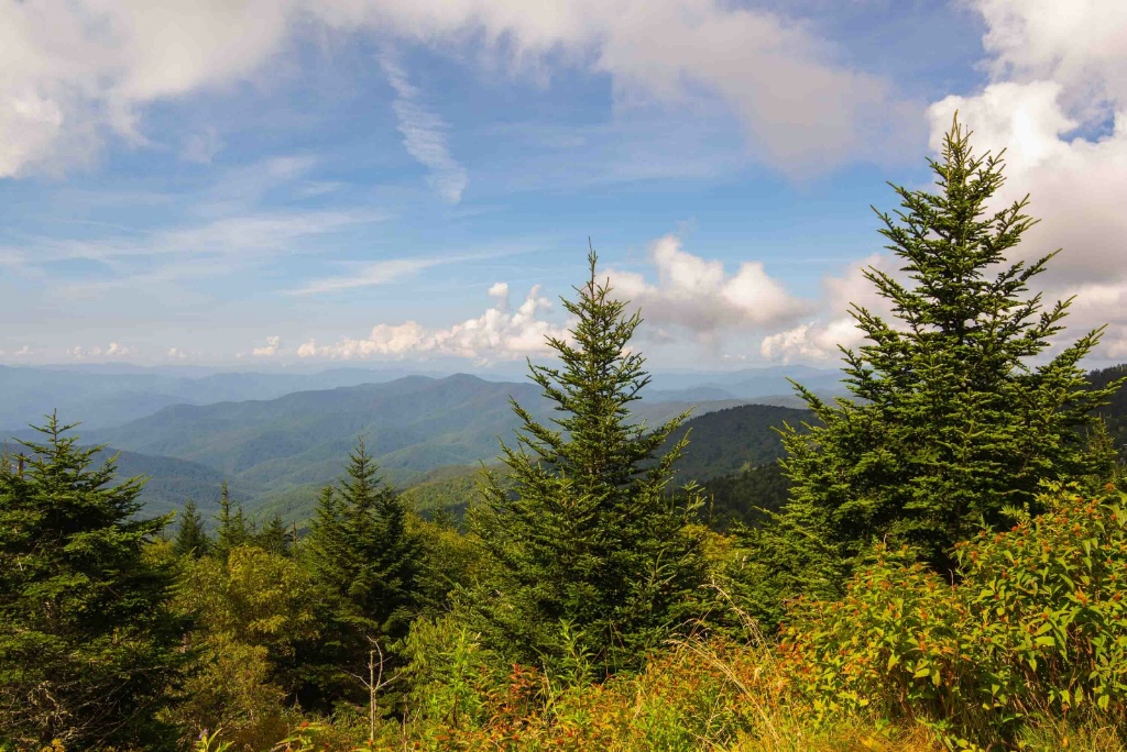 Smokey Mountains