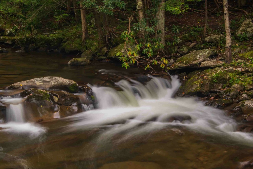 Mountain Stream