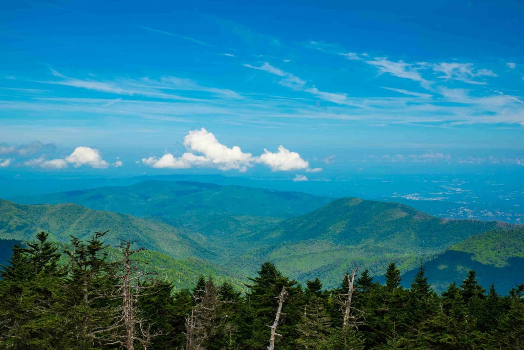 Top of the Smokies