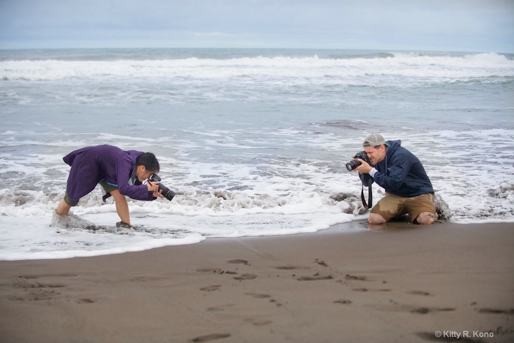 Yumiko and Scott Photographing a little Turtle