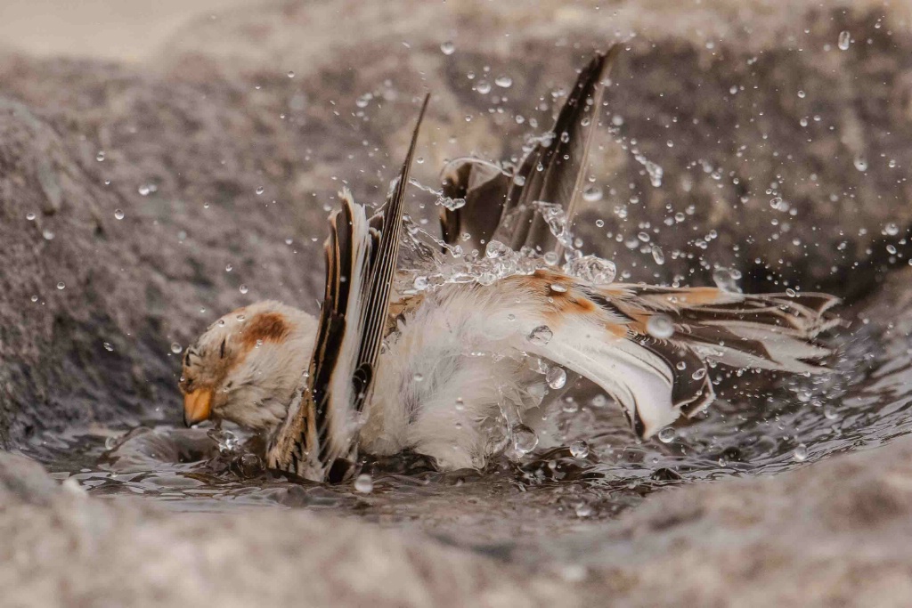 Taking a Dip