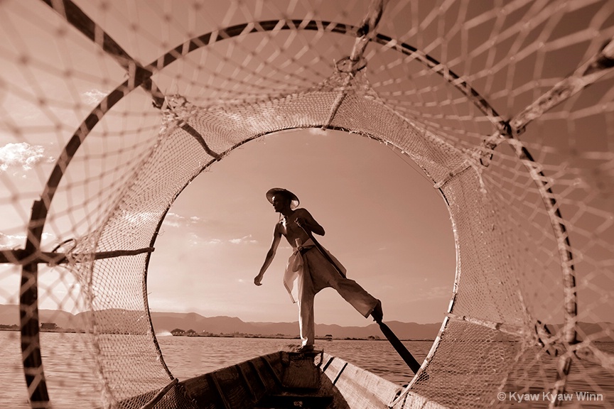 Through The net