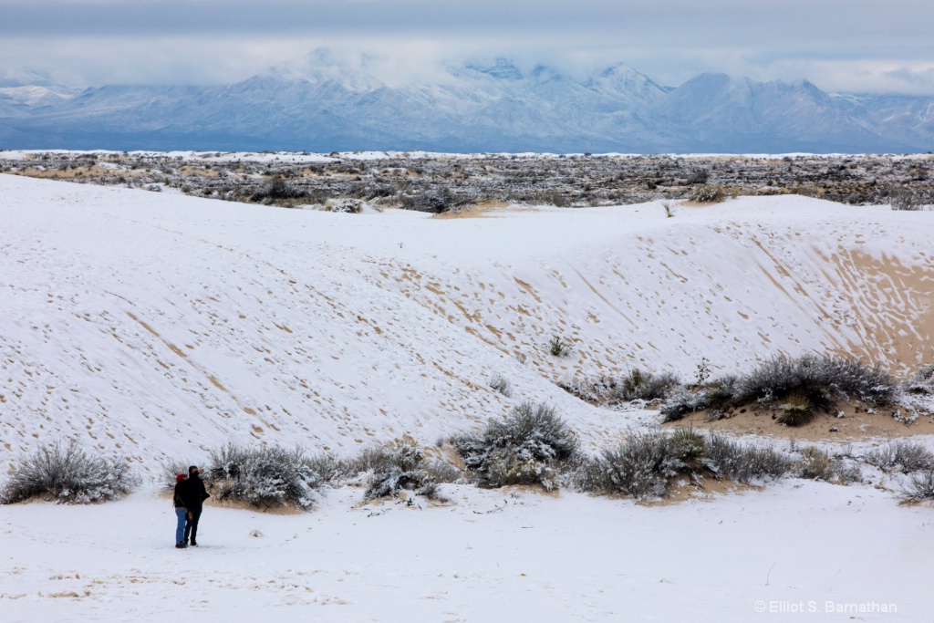 New Mexico 17