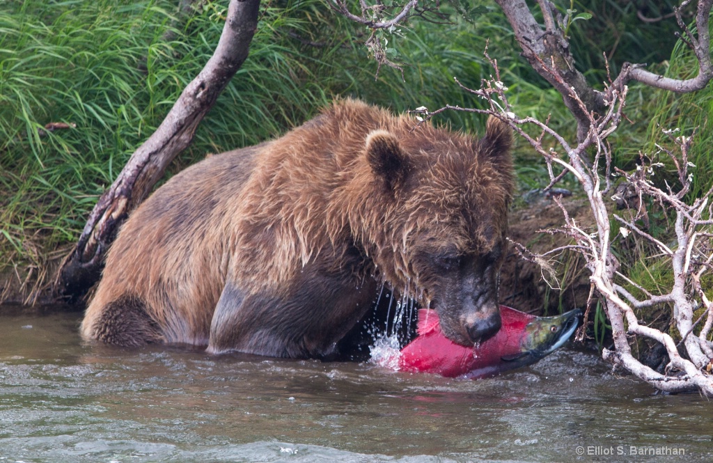 Fishing