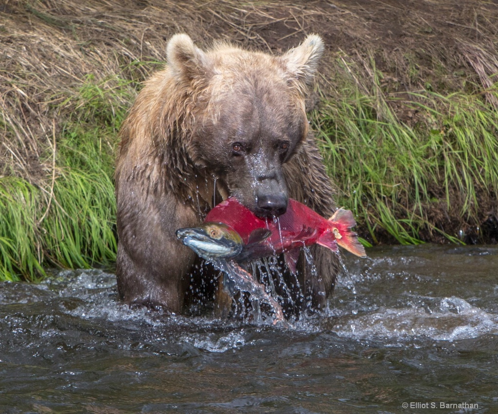 Fishing