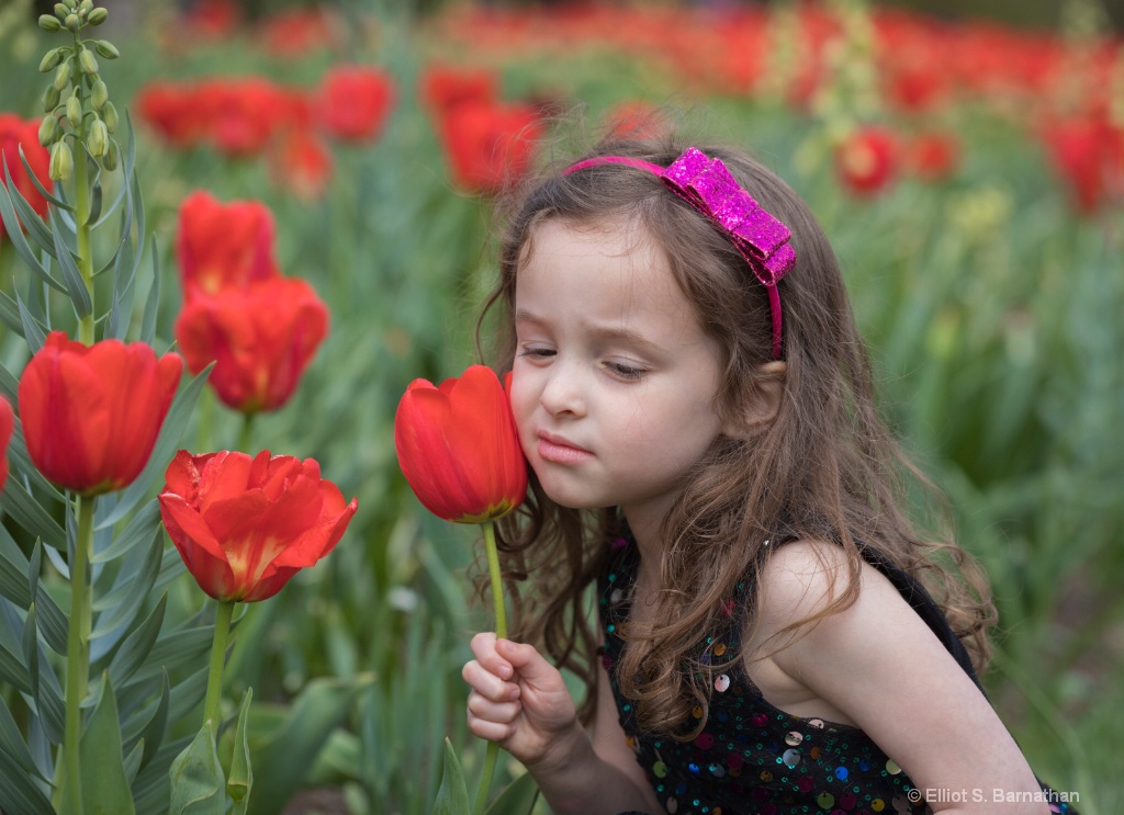 Stopping to Smell the Flowers