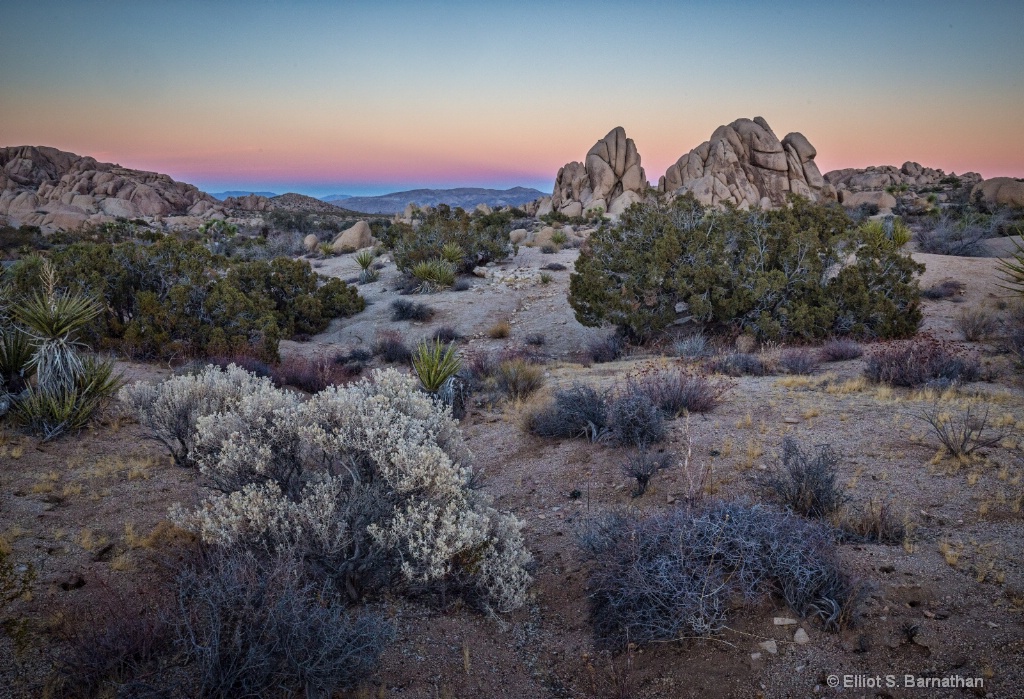 JoshuaTree 2