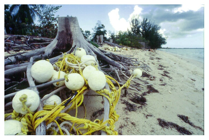 Beached