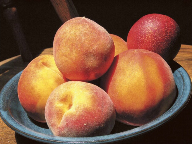 Peaches 2