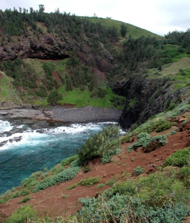 A View From Kilauea Lighthouse