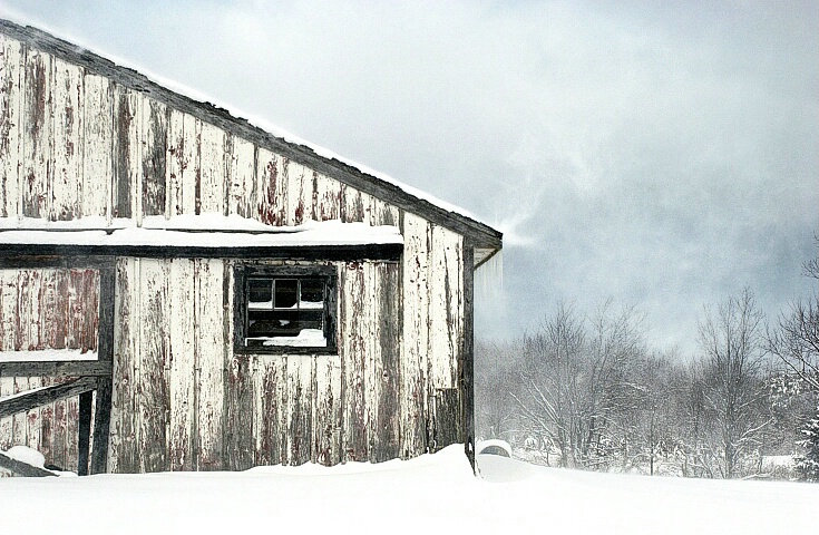 Winter Winds