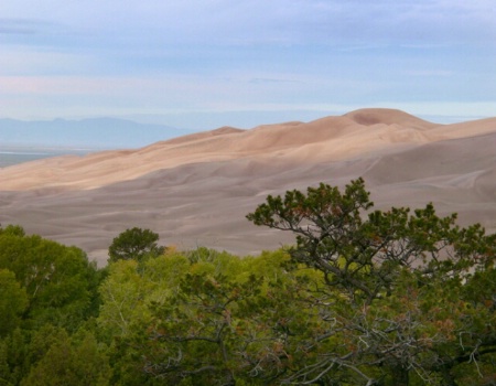 Star Dune/foreground treeline