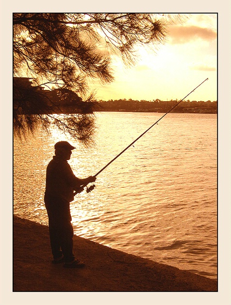 fishing under tree