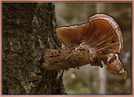 Vertical Broken Mushroom