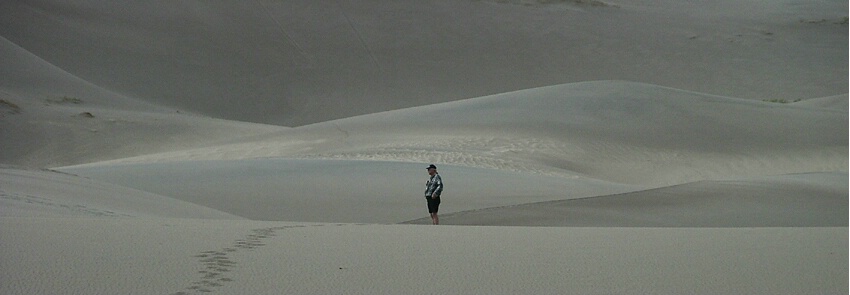 Dune Drifter Reflects
