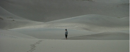 Dune Drifter Reflects