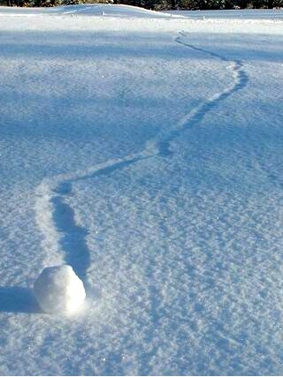 Wind Created Snowball