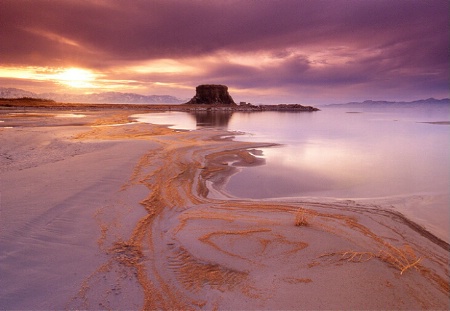 A walk on the shore