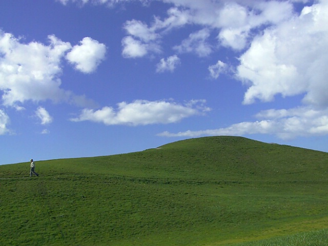 Windows XP   