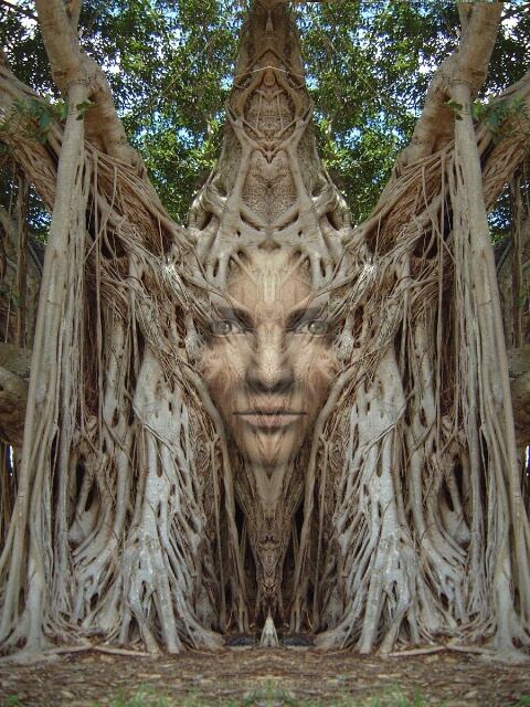 WOOD QUEEN