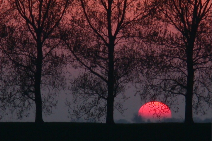 Holland Sunset