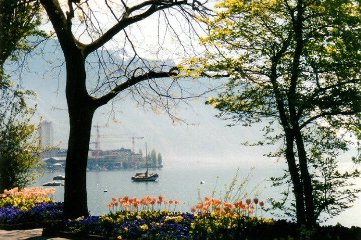 Montreux, Switzerland - ID: 118025 © Hasmik Hatamian