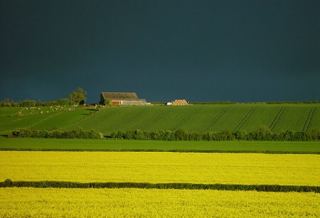 The Farm on the Hill