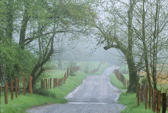 Sparks Lane, Cades Cove, Tennessee