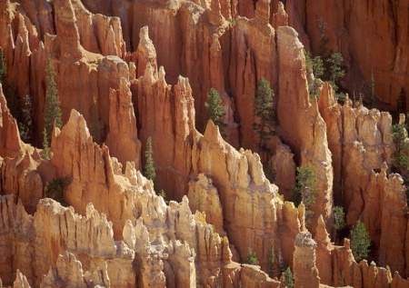 Bryce Canyon Detail, Utah