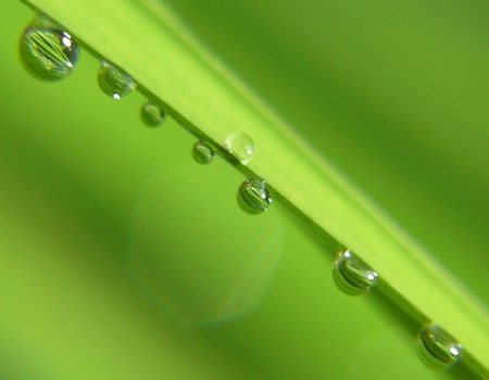 Water droplets 