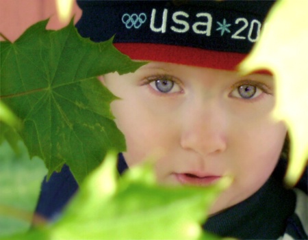 Lurking in the leaves