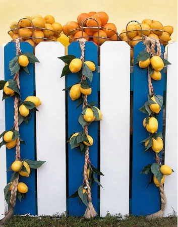 Strings of Lemons