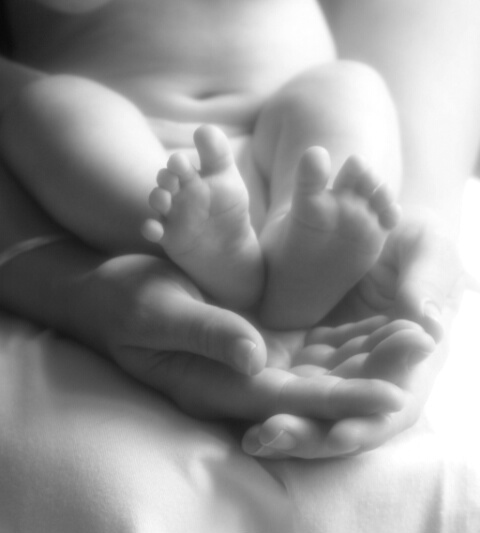 in mommy's hands