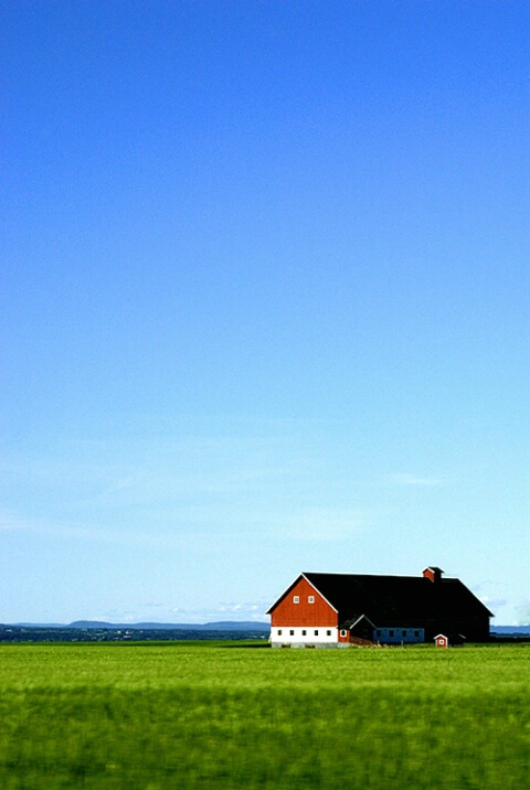 Red Barn