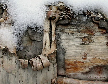 Old Wood. Old Snow