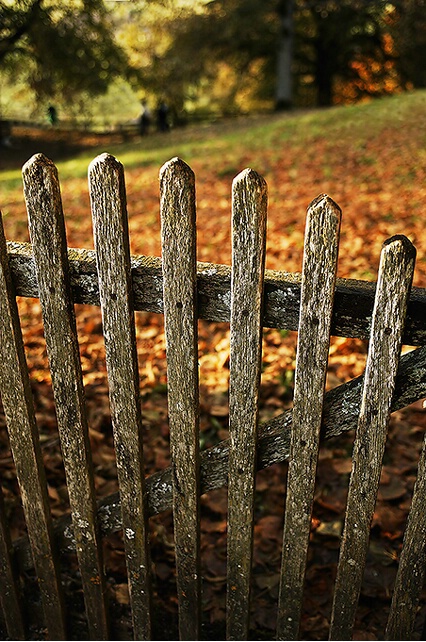 The frozen Fence