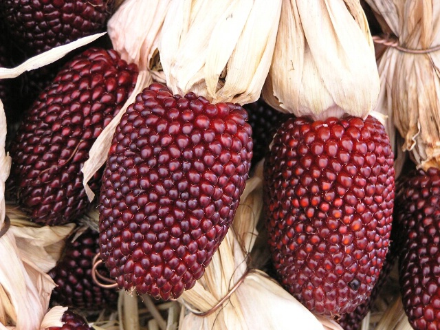 Strawberry Corn