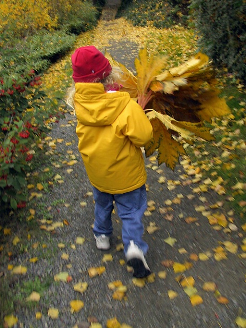 Carrying leaves for daddy 