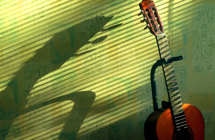 Guitar in Afternoon Sun