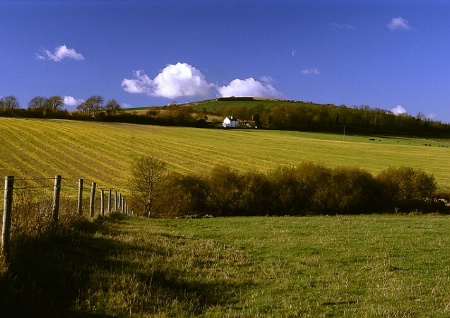 Coombes Field