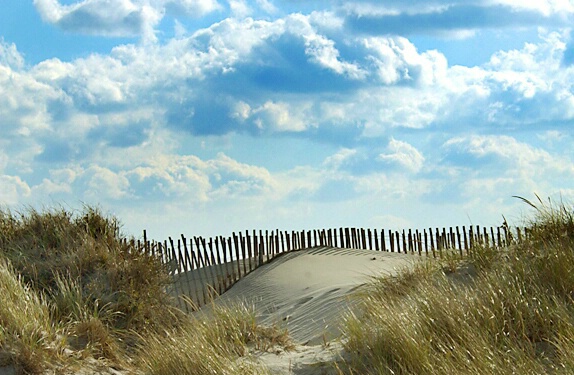 The Dunes Of Fire Island - ID: 263881 © Frederick A. Franzella