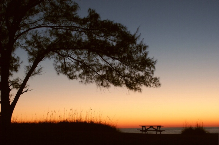 Sunset Picnic