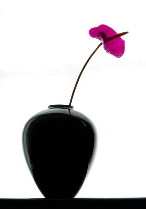 Black vase