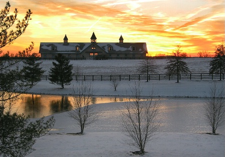 Kentucky Horse Farm