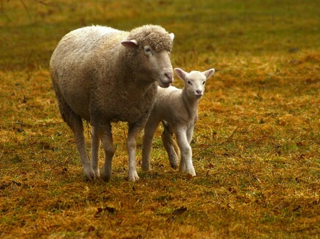 Mother and Daughter