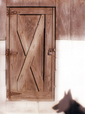 Shed and a Shadow