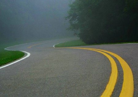 Foggy Road