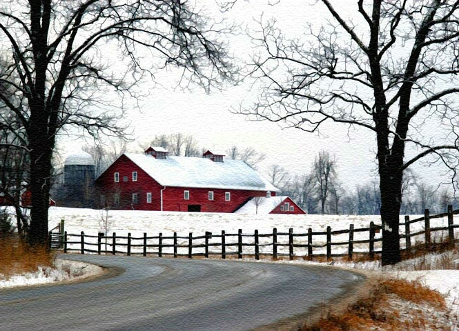 Fenced In